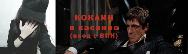 дурь Осинники
