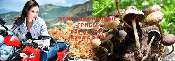 соль ск Остров