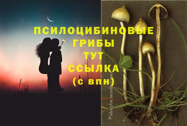 соль ск Остров