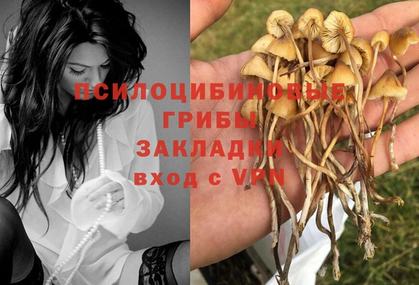 соль ск Остров