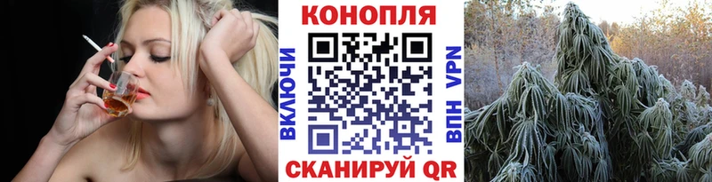 Купить закладки  Ядрин  МАРИХУАНА OG Kush 